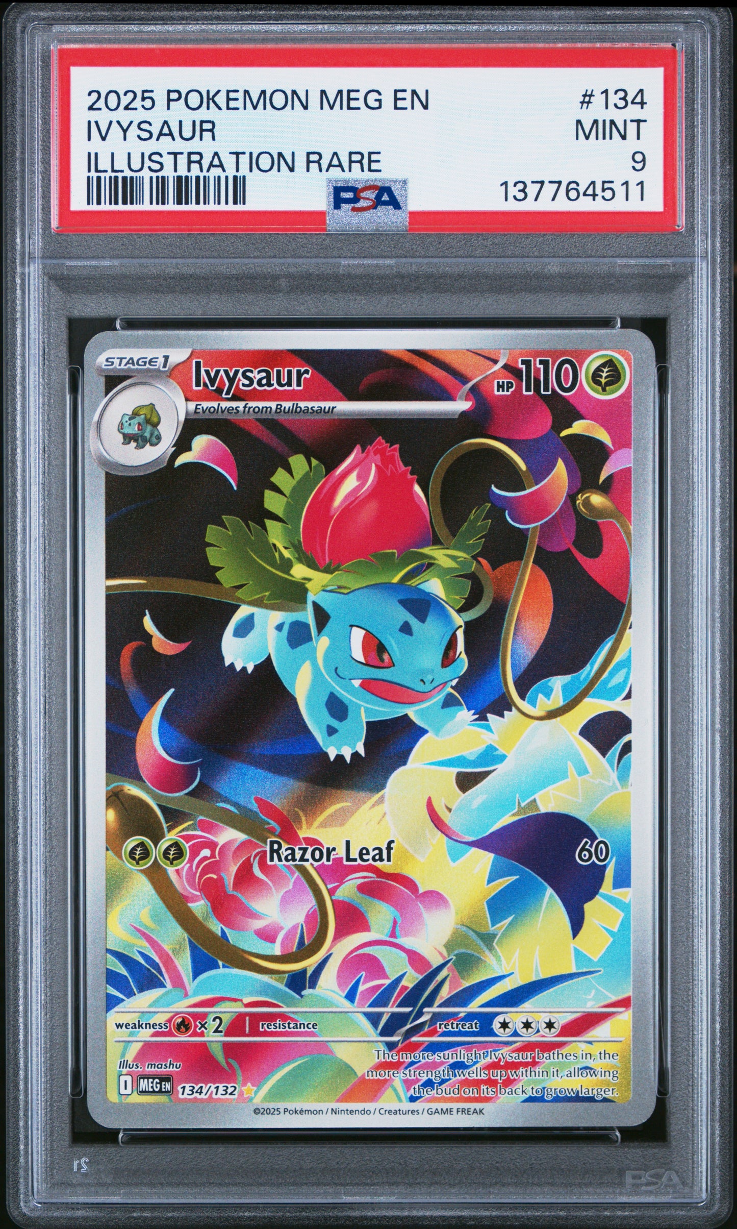 2025 POKEMON MEG EN-MEGA EVOLUTION #134 IVYSAUR ILLUSTRATION RARE PSA 9
