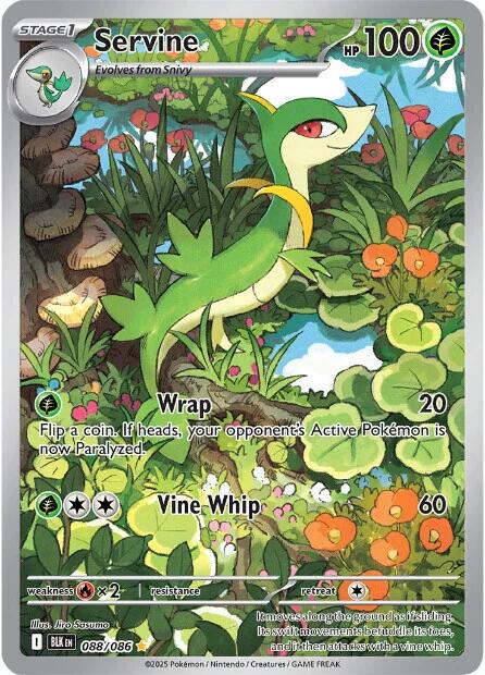 Servine #88 Pokemon Black Bolt