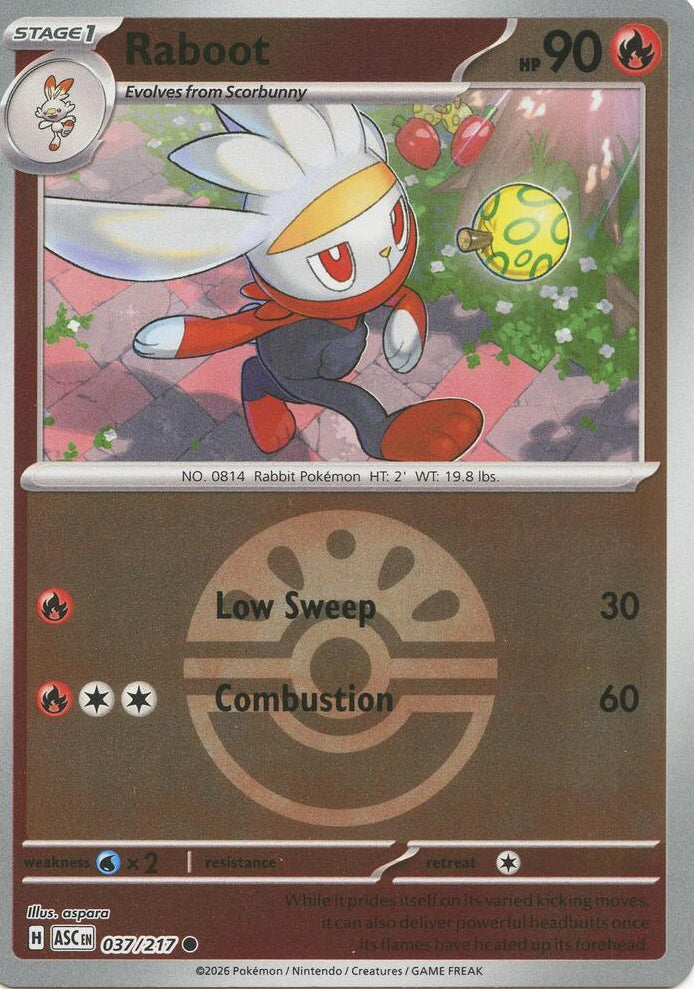 Raboot [Ball] #37 Pokemon Ascended Heroes