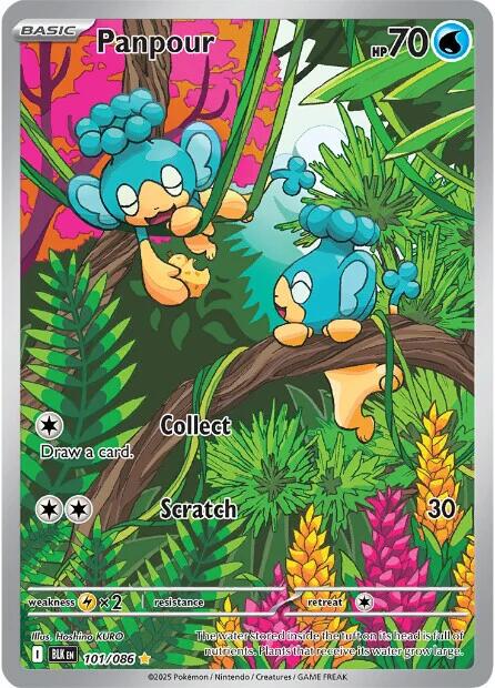Panpour #101 Pokemon Black Bolt