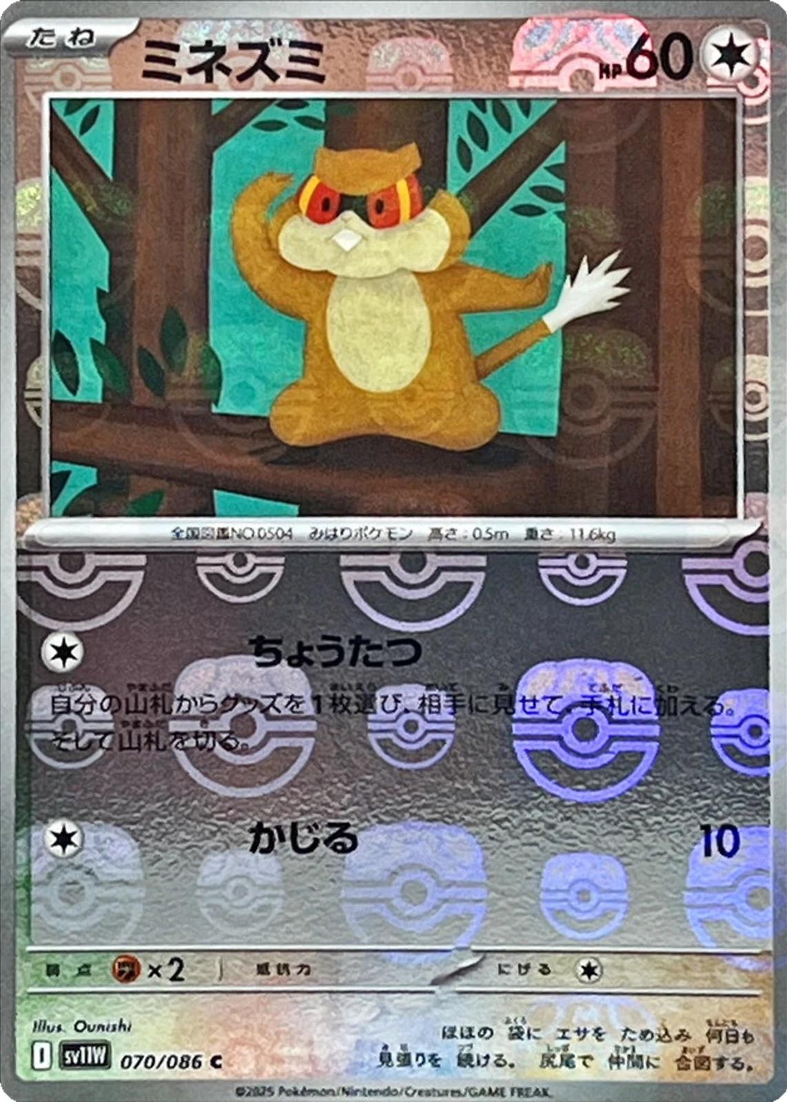 Patrat [Master Ball] #70 Pokemon Japanese White Flare