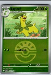 Bayleef [Ball] #9 Pokemon Ascended Heroes