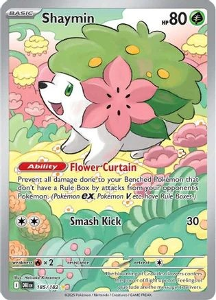 Shaymin - 185182 185 - SV10 Destined Rivals Holofoil