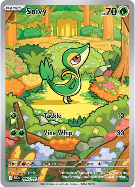 Snivy #87 Pokemon Black Bolt