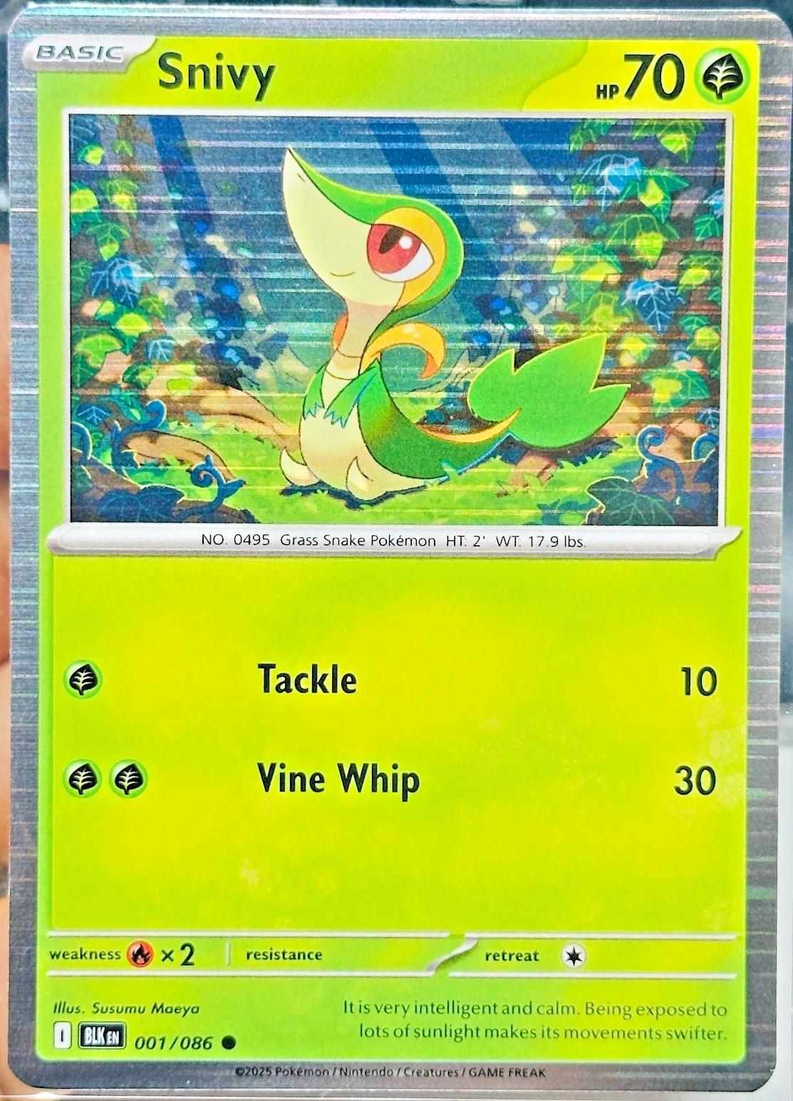 Snivy [Poster Holo] #1 Pokemon Black Bolt