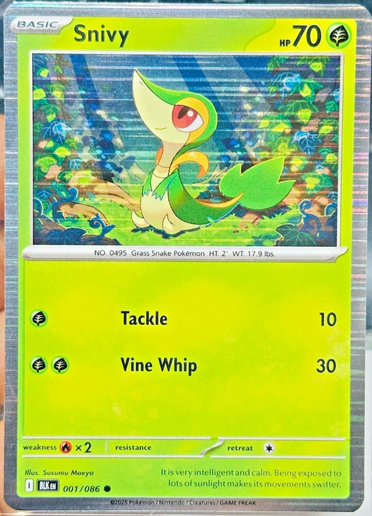 Snivy [Poster Holo] #1 Pokemon Black Bolt